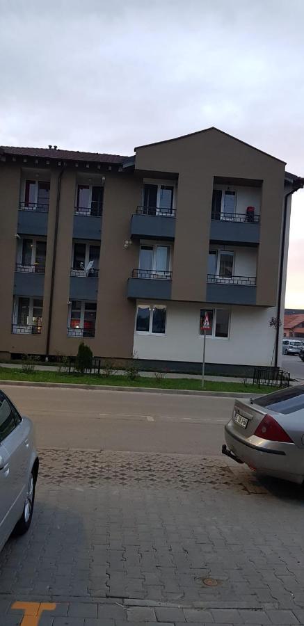 Apartament Vila Brana Sibiu Selimbar Str Nicolae Brana Nr 63 Ap 4公寓 外观 照片